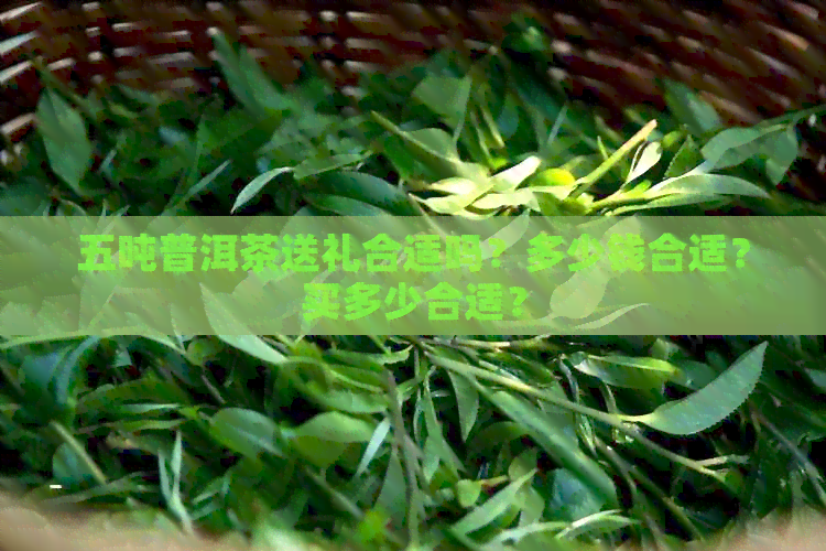 五吨普洱茶送礼合适吗？多少钱合适？买多少合适？