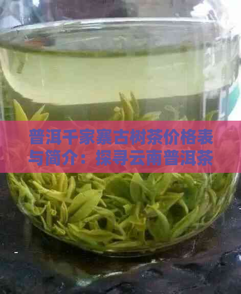 普洱千家寨古树茶价格表与简介：探寻云南普洱茶的魅力