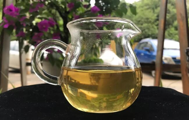 龙腾景迈普洱茶：品味高端普洱的细腻魅力与独特口感