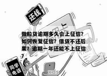 微粒贷逾期还款5天是否会对造成长期影响？