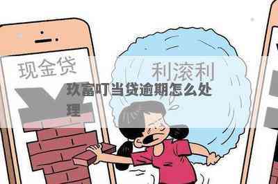 玖富逾期还款6:叮当协商方案详细解读与操作指南