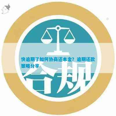 钱站协商还本金的实用技巧与逾期处理方法