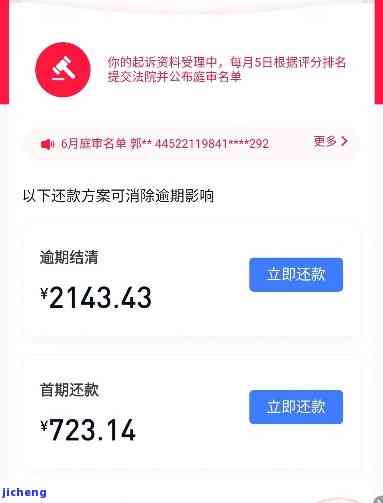 全面了解欠款情况：如何查询已欠款金额及还款计划