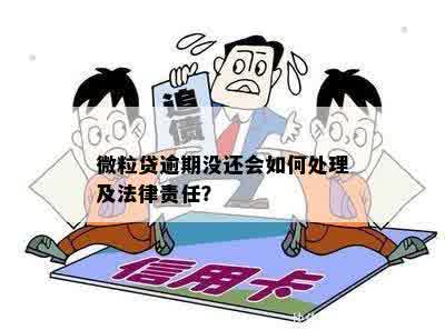 微粒贷逾期刑事责任怎么办？