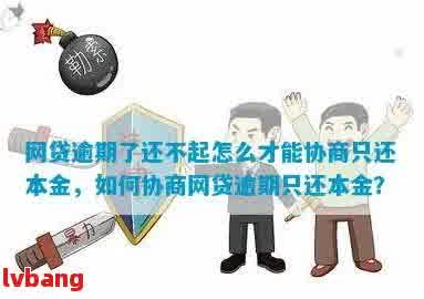 '网贷是否可以协商只还本钱：探务解决方案'