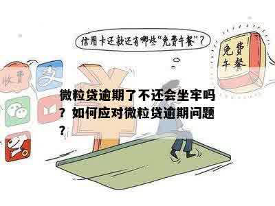 微粒贷逾期后果全面解析：是否会导致坐牢及应对措