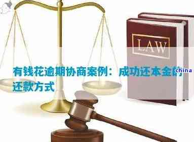 分期还款协商：成功案例分析与策略指南，如何有效还清本金？