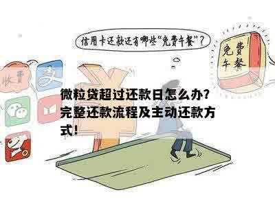 微粒贷：申请期还款全流程详解，轻松应对资金周转难题