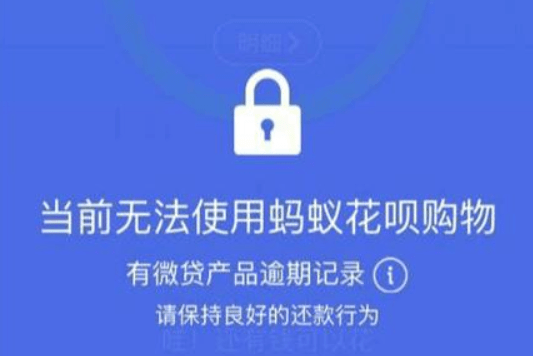 花呗逾期后如何进行部分还款操作，避免影响信用评分？