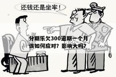 逾期还款超过300天，我应该怎么办？全面解决方案与建议