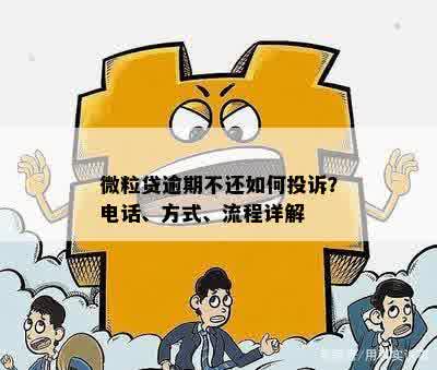 微粒贷投诉处理：用户指南、有效性及可能的解决方案全面解析