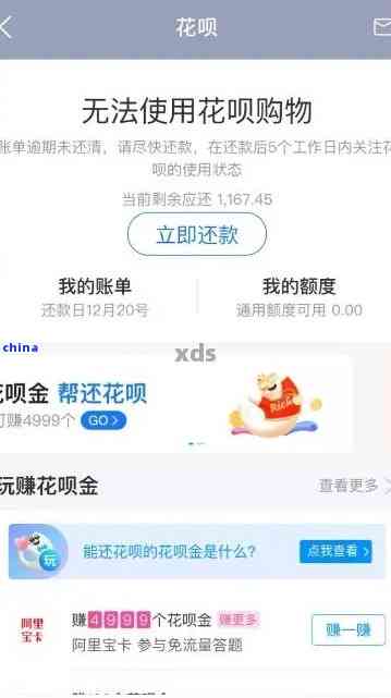 花呗逾期以后怎么还