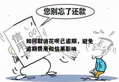 花呗逾期还款方案：如何分期还款以避免逾期罚息和影响信用？