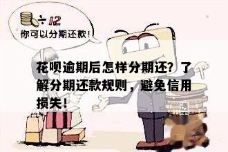 花呗逾期还款方案：如何分期还款以避免逾期罚息和影响信用？