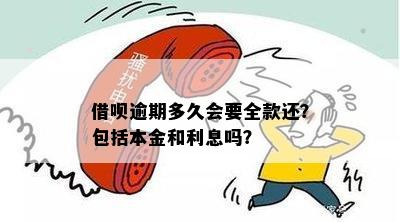 借呗逾期多久会要全款还清本金：揭示逾期还款期限与全额结清要求