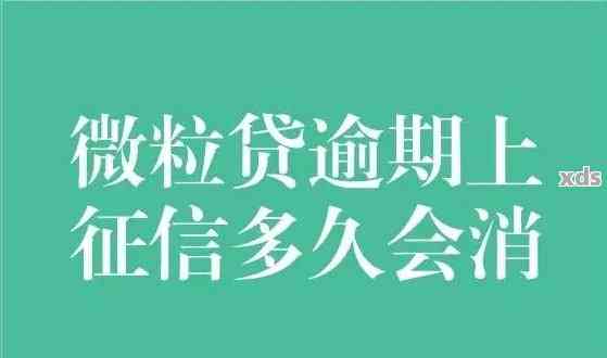 逾期未还的2万5微粒贷债务，将面临哪些严重后果？