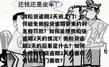 逾期未还的2万5微粒贷债务，将面临哪些严重后果？