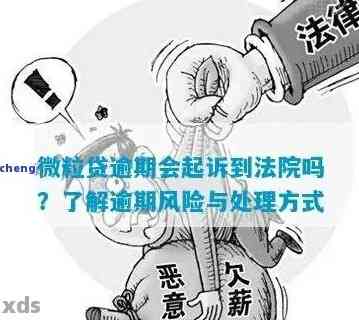 微粒贷逾期还款的风险及应对策略：真的会被起诉吗？