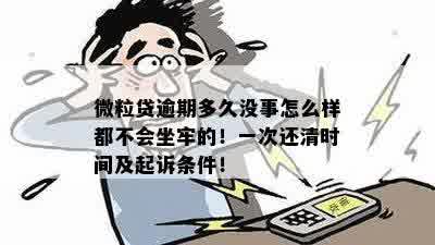 新微粒贷逾期后果及解决方案，是否会被起诉或坐牢？