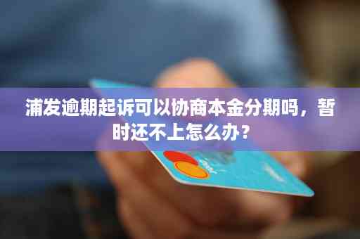 浦发协商还款与分期还款方式全解析：60期还款计划、本金偿还及更低还款讨论