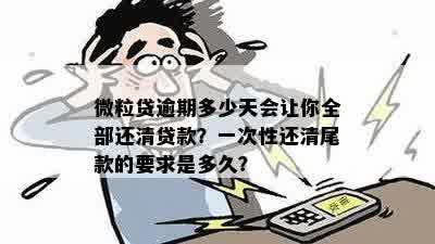 微粒贷逾期还款策略：全额还款是否必要？了解逾期后果及一次性还清