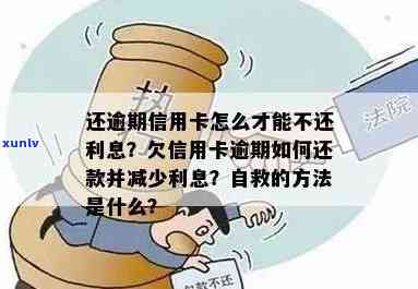 还呗逾期未还款后果详解：信用受损、费用累积，如何规划还款避免损失？