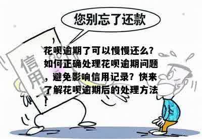 新还呗逾期还款攻略：如何避免受损并解决问题