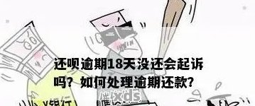 还呗逾期还款后果与影响分析及相关资讯