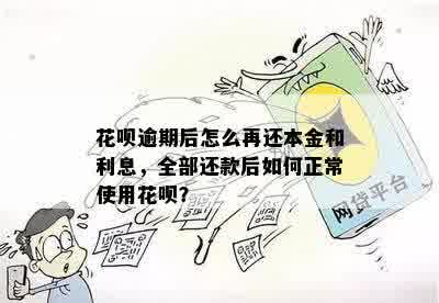 花呗逾期1年后仍未还款，如何一次性还清本金及利息？