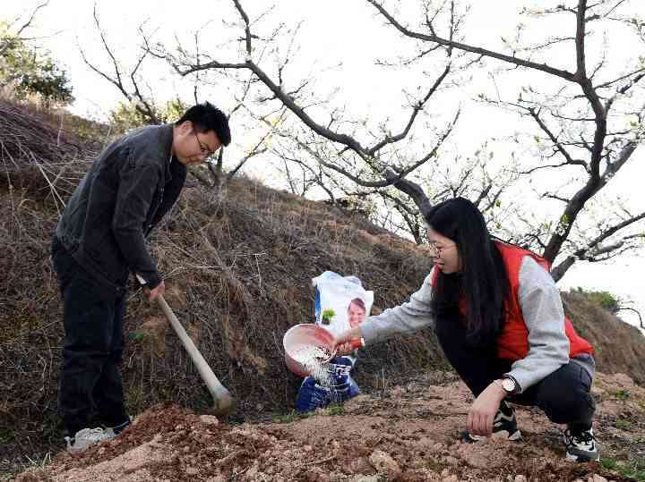 建行协商还款表格问题解决指南：无法怎么办？完整步骤与建议