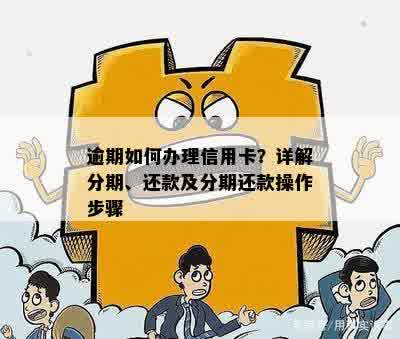 逾期信用卡分期还款全流程及所需材料详解