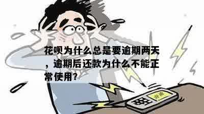 花呗逾期还款问题：怎么还进去的钱不能用了？