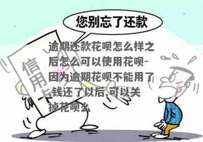 花呗逾期还款问题：怎么还进去的钱不能用了？