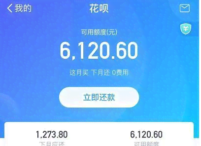 花呗逾期还款策略：如何达成只还一半的要求