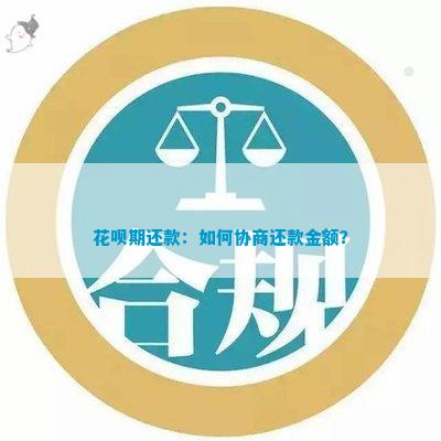 花呗借款还款协商全方位指南：如何合理确定还款金额与方案