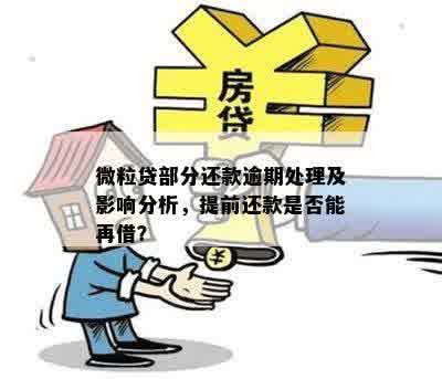 揭示：微粒贷逾期情况分析，还款困扰如何解决？