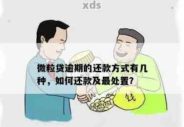 揭示：微粒贷逾期情况分析，还款困扰如何解决？