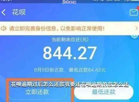 花呗逾期没还款：高手续费、关闭使用权及解决办法全解析