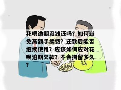 花呗逾期没还款：高手续费、关闭使用权及解决办法全解析