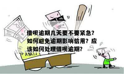 还呗逾期了怎么办？这些应对措你需要了解！