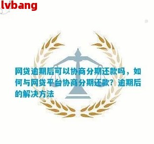 如何与网贷平台协商还款：解决逾期问题、降低利息及更多你可能关心的问题