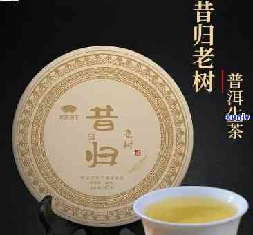 昔归普洱茶生茶价格2020年375克：探究昔归普洱茶生茶的价格走势及特点