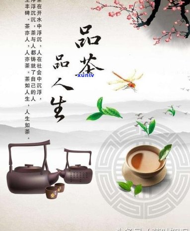 茶文化之旅：品味茶叶，体验生活，领略人生哲学