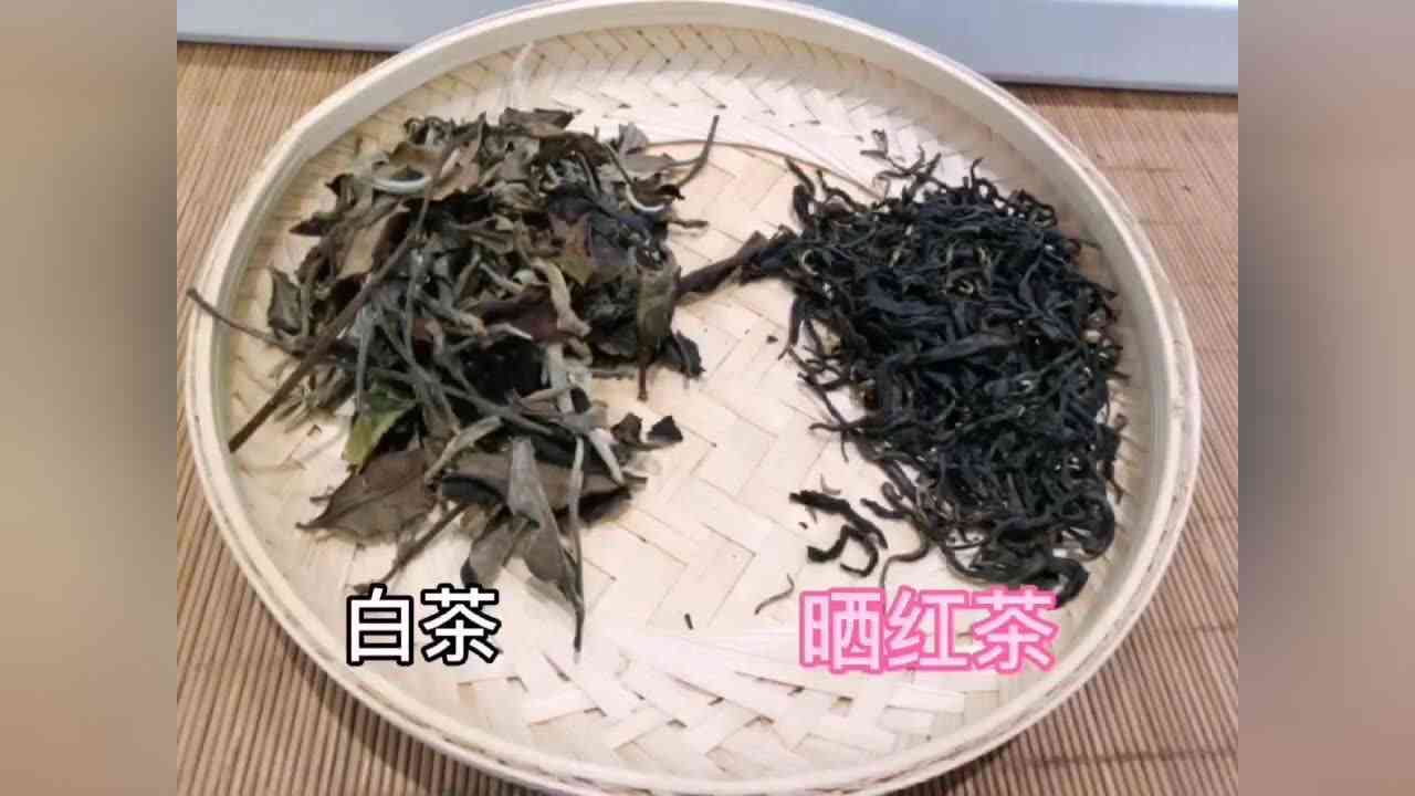 茶人茶事茶生活普洱茶