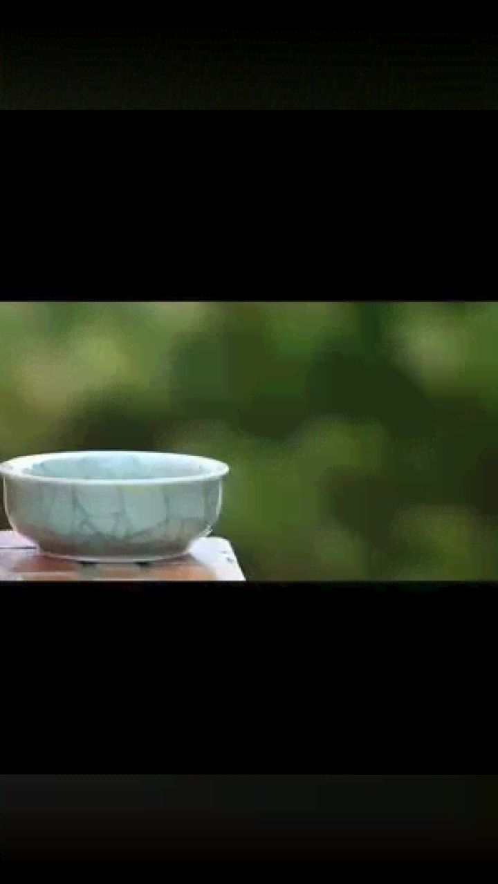 茶人茶事茶生活普洱茶