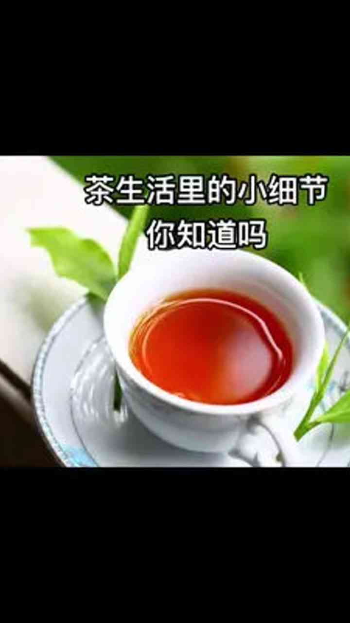 茶人茶事茶生活普洱茶