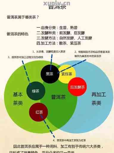 探寻茶文化：普洱茶在的新兴市场与商业策略