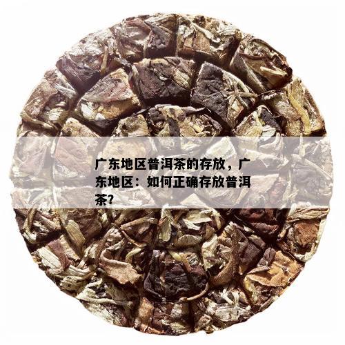 广州藏普洱茶的全方位指南：了解存地点、设及购买建议
