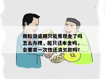 微粒贷逾期13天后的还款处理方式：是否要求一次性还清全额？