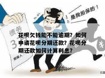 花呗逾期还款政策详解：是否可以分期还款？如何规划还款计划？